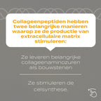 Collageen Peptiden Poeder