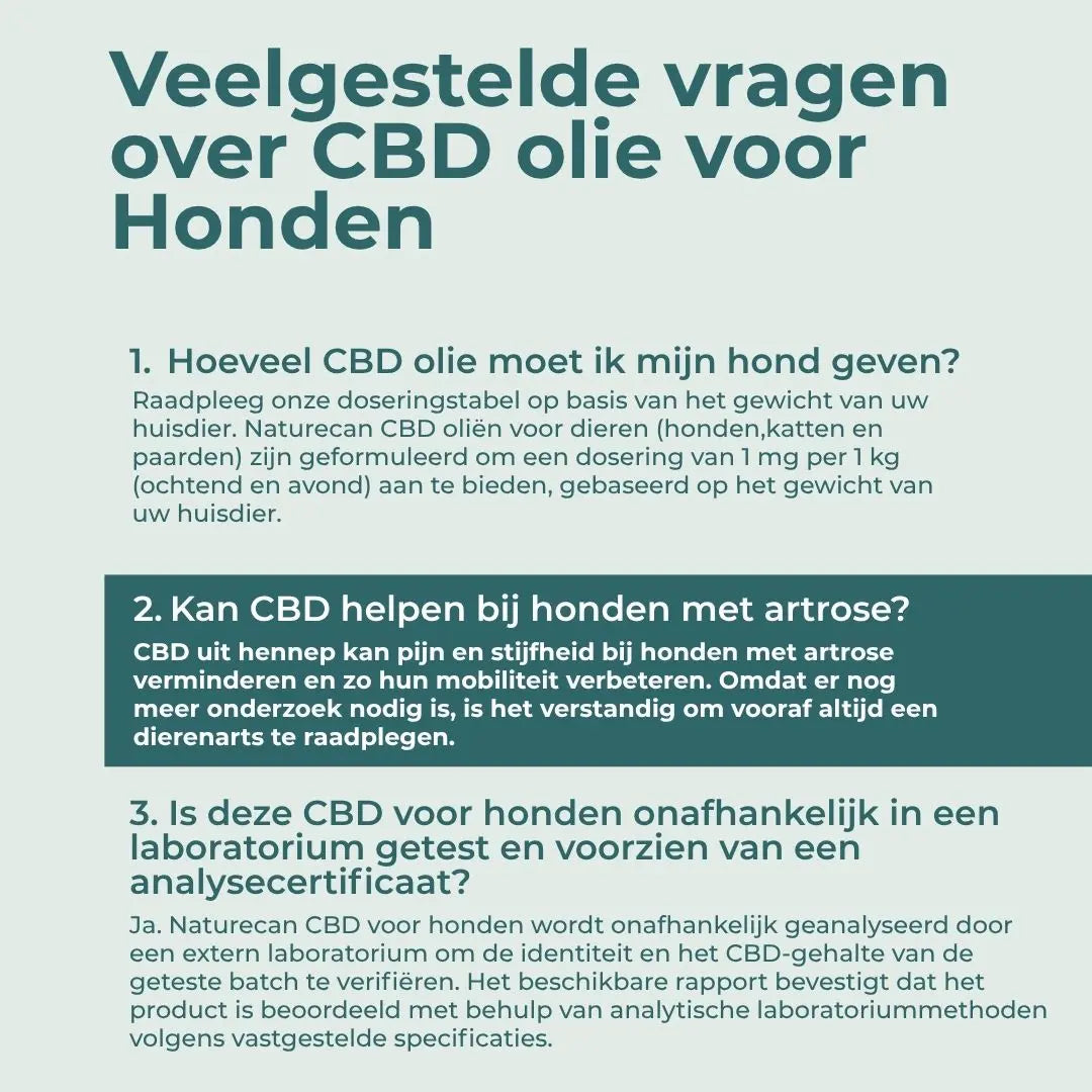 CBD Olie voor Honden