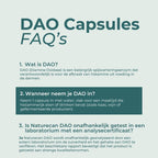 DAO Supplement
