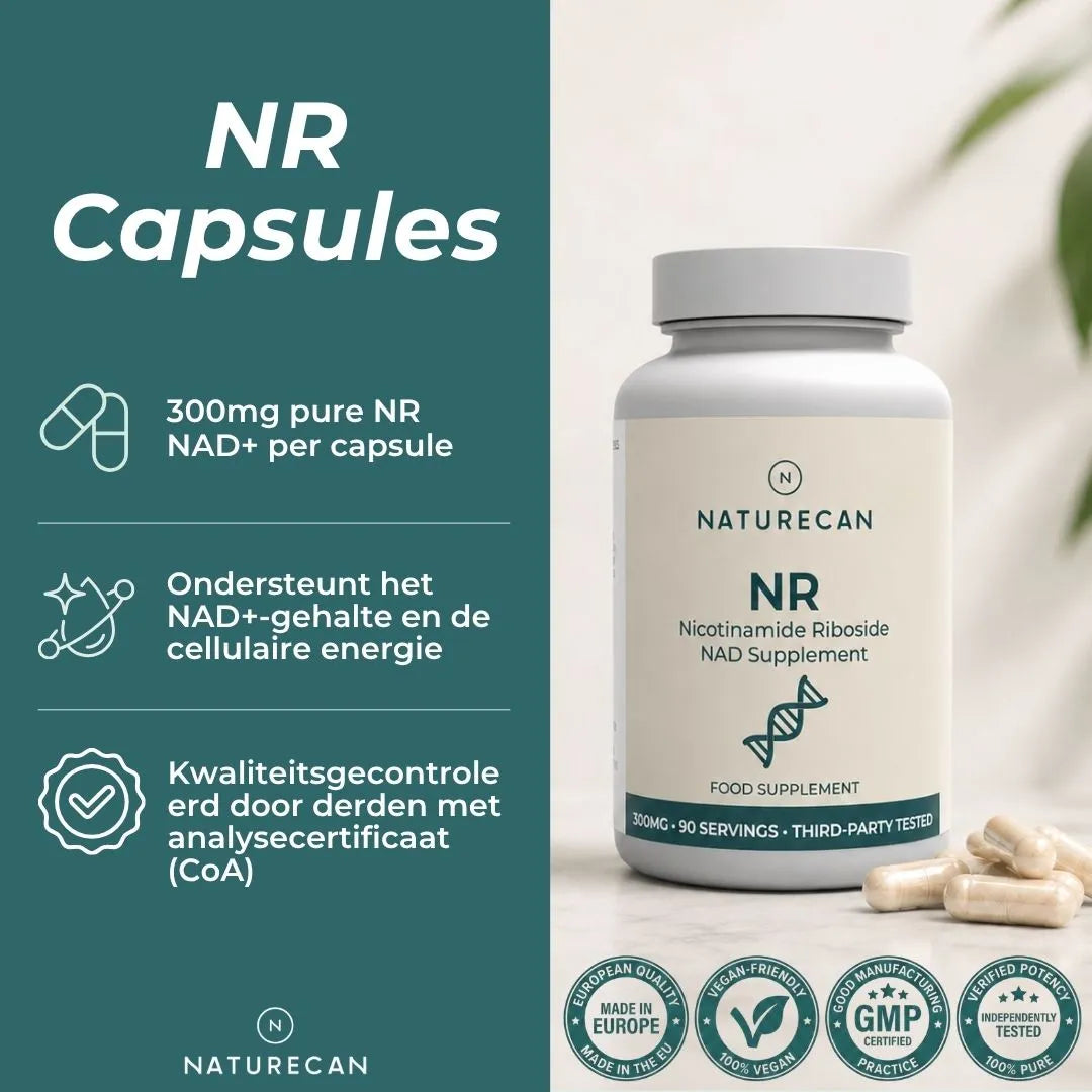 NAD Supplement (NR)