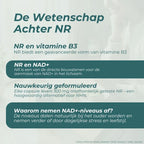 NAD Supplement (NR)