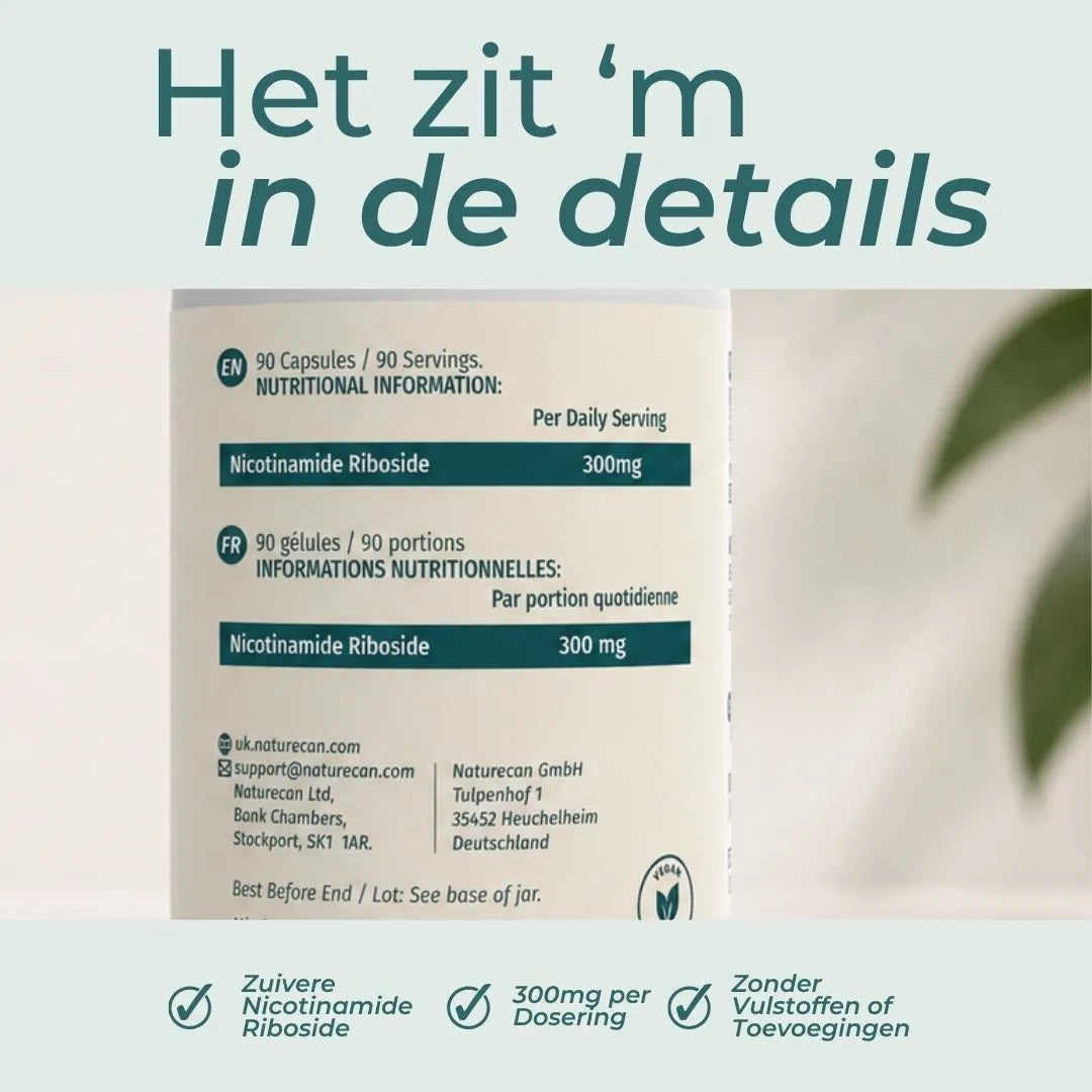 NAD Supplement (NR)
