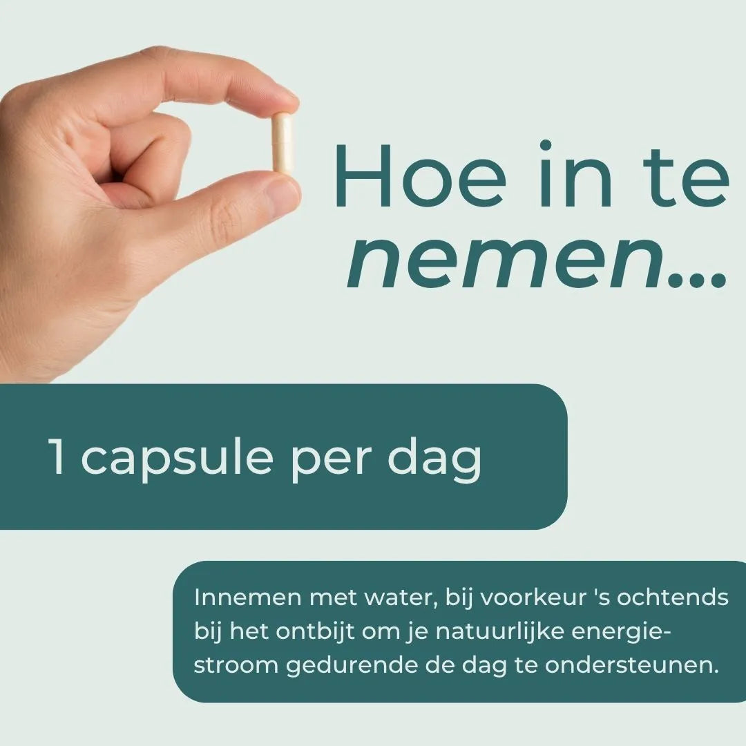 NAD Supplement (NR)
