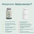 NAD Supplement (NR)
