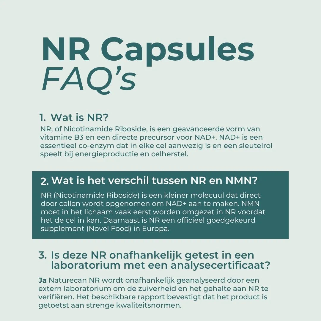 NAD Supplement (NR)