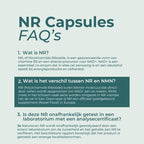 NAD Supplement (NR)