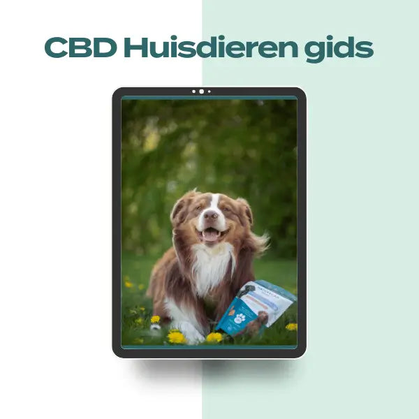 Gratis CBD Doseringsgids voor Huisdieren