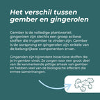 Organic Ginger Supplement