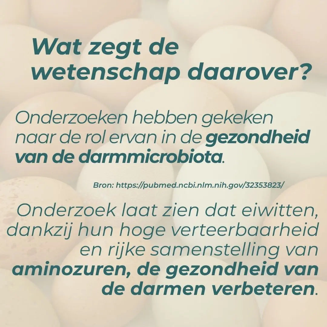 Egg Protein