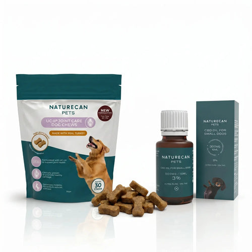 CBD Olie voor Honden Gewrichtsbundel