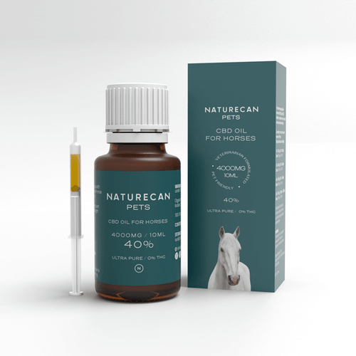 CBD Olie voor paarden