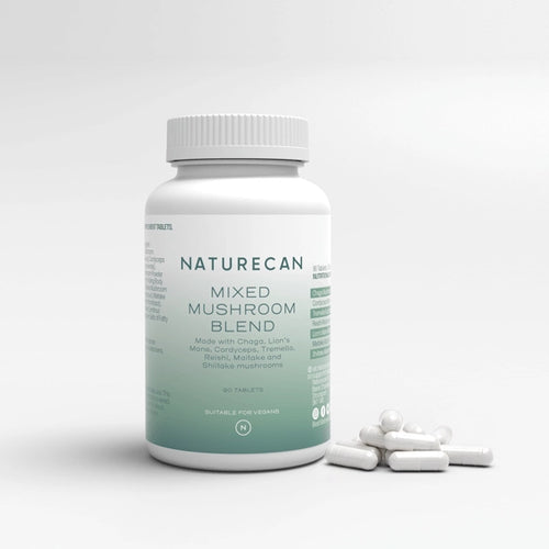 Lion's Mane & Chaga Mushroom Complex Tabletten