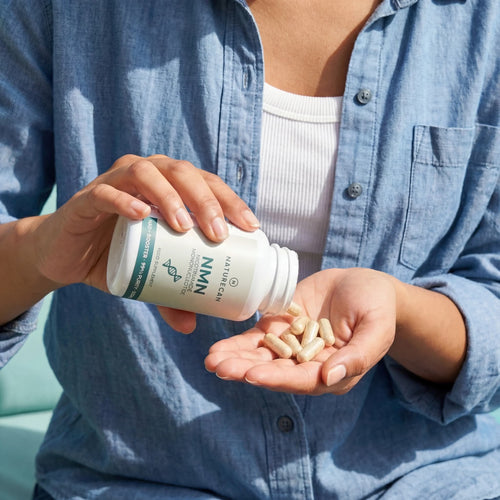 NMN Supplement