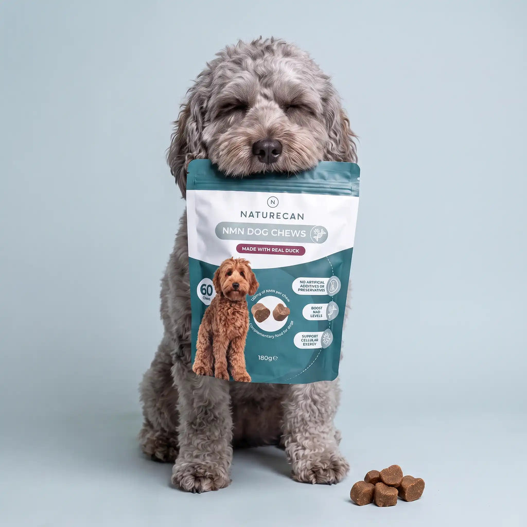 NMN Kauwsnacks voor Honden