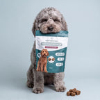 NMN Kauwsnacks voor Honden