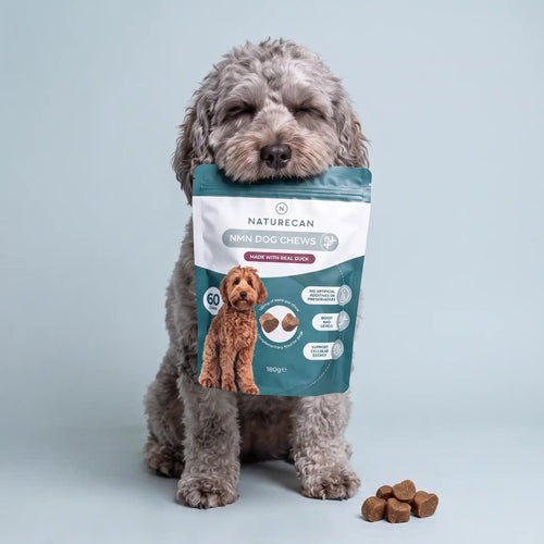 NMN Kauwsnacks voor Honden