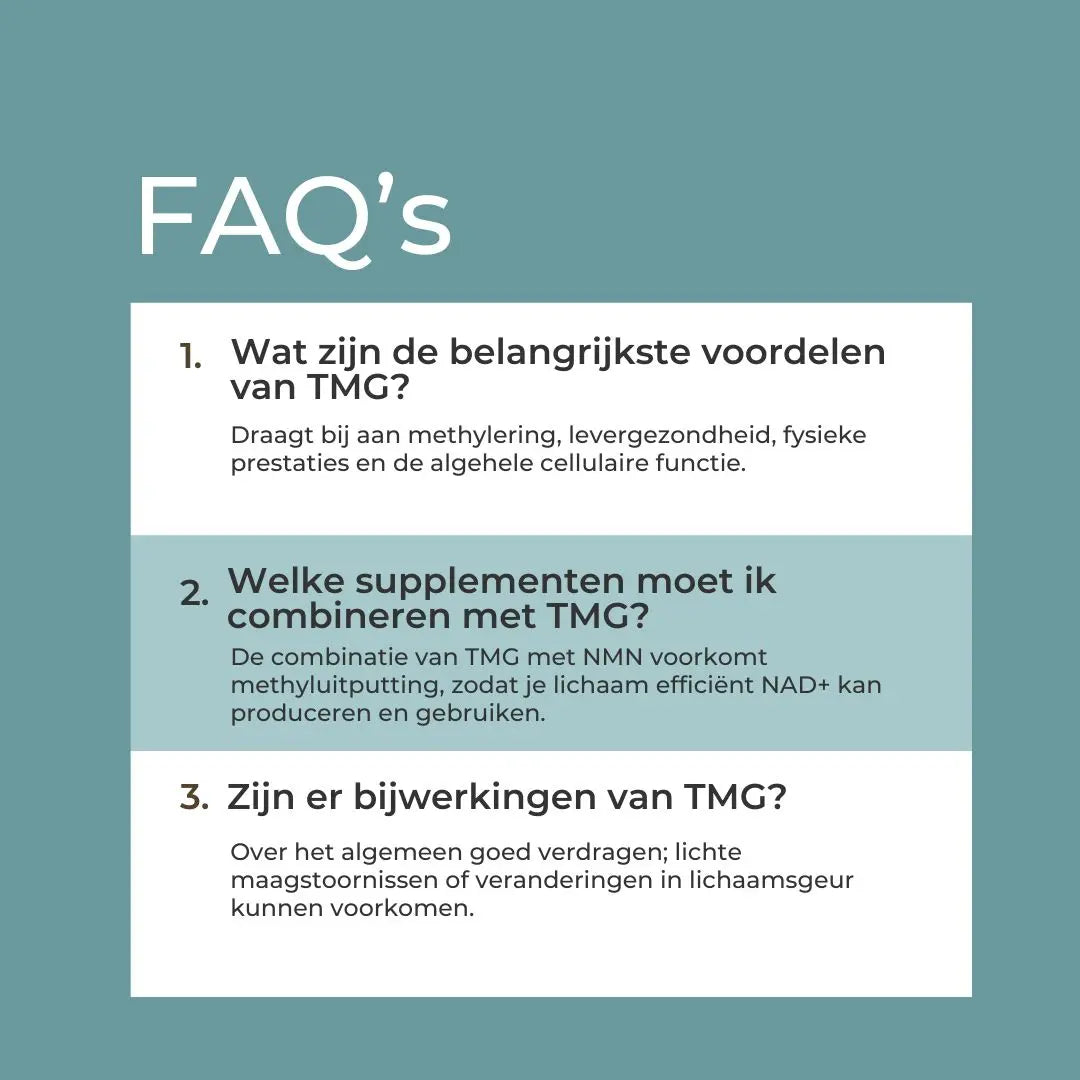 TMG Supplement