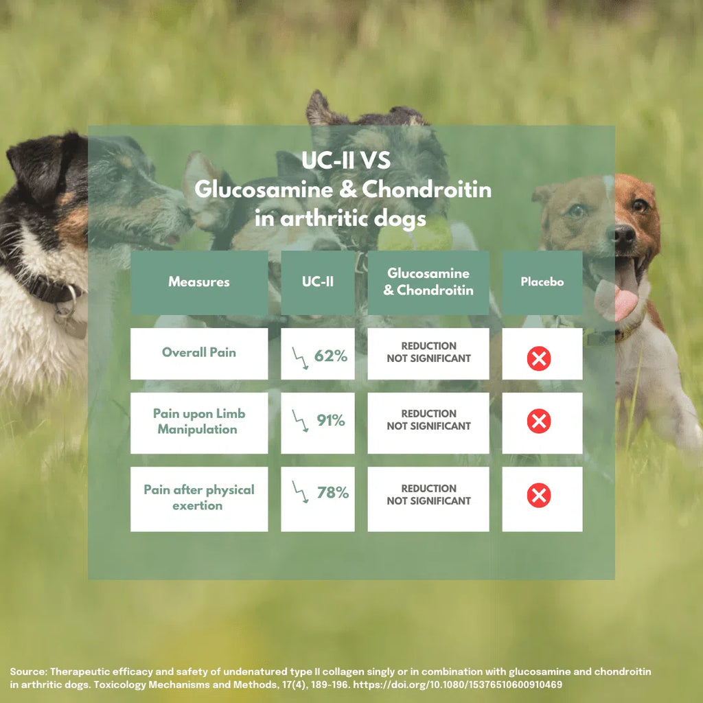 UC-II® Gewrichtssnoepjes voor Honden