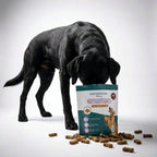 UC-II® Gewrichtssnoepjes voor Honden