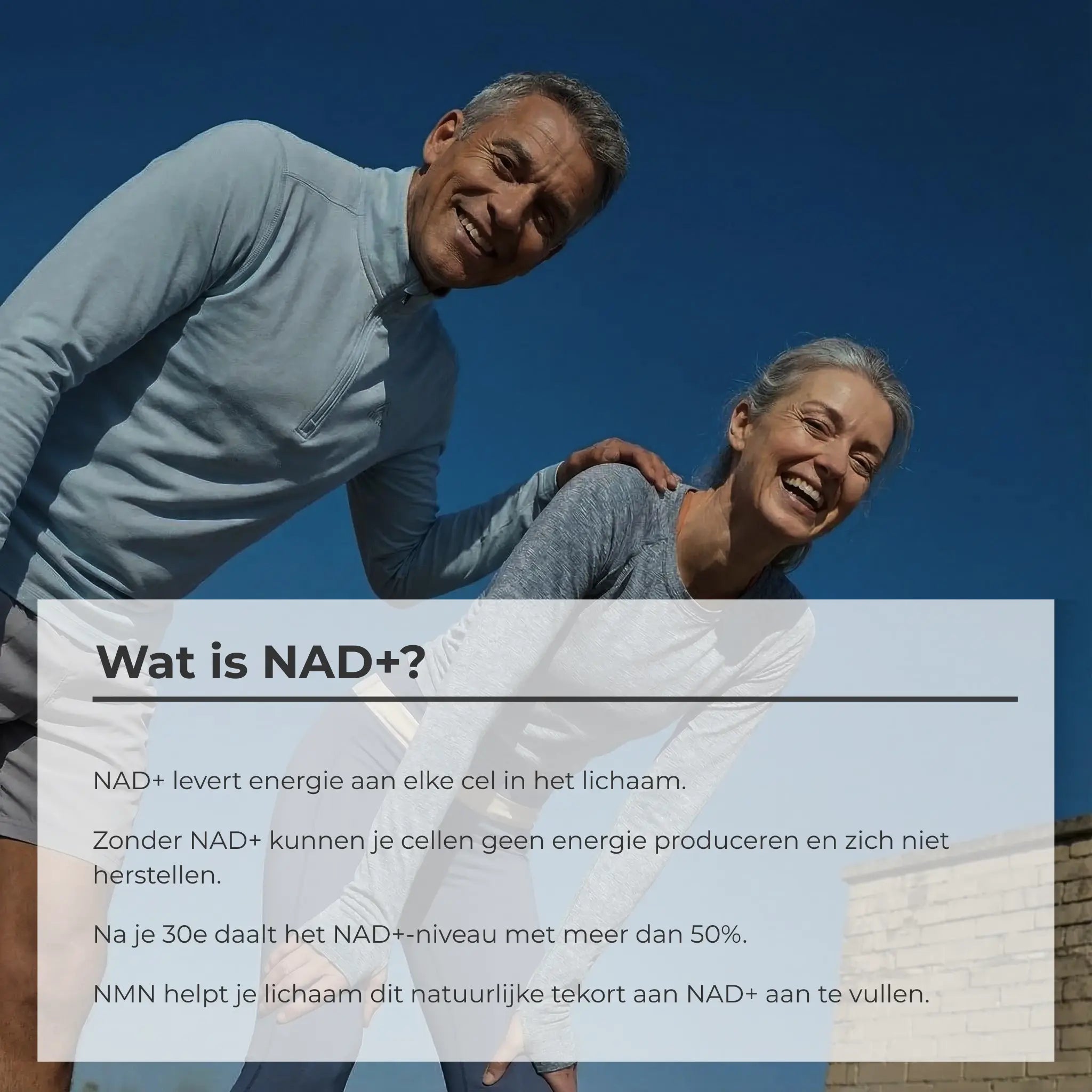 Wat is NAD+