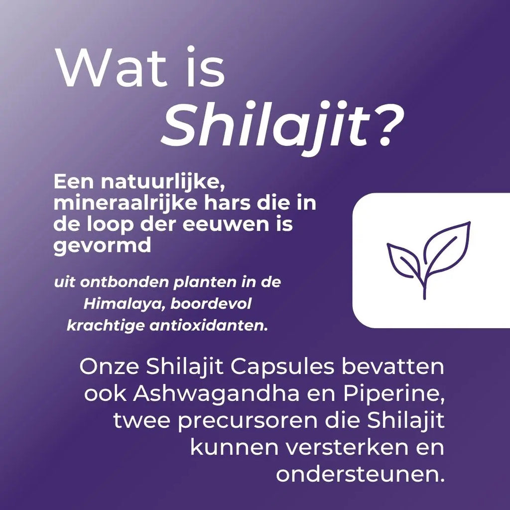 Shilajit Capsules