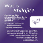 Shilajit Capsules