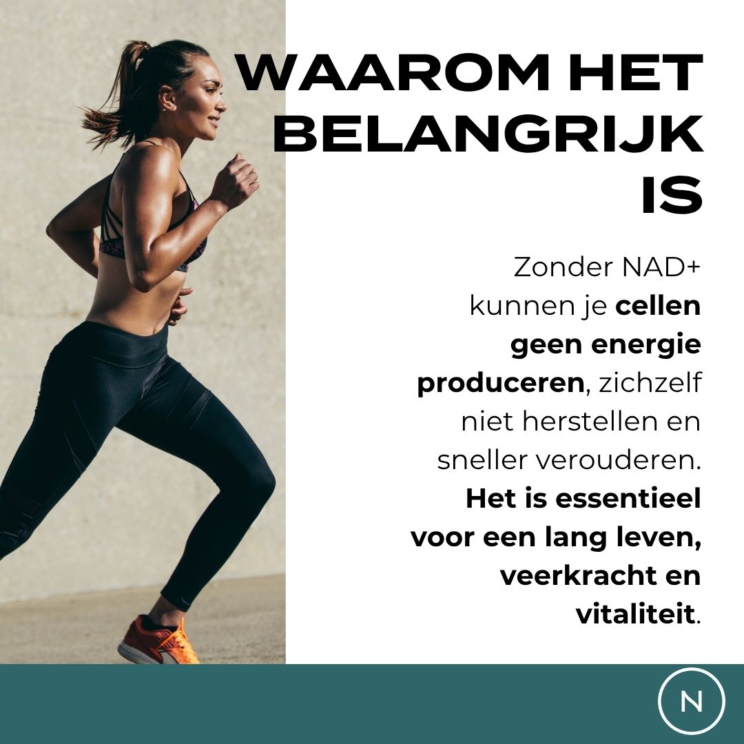 NAD Supplement (NR)