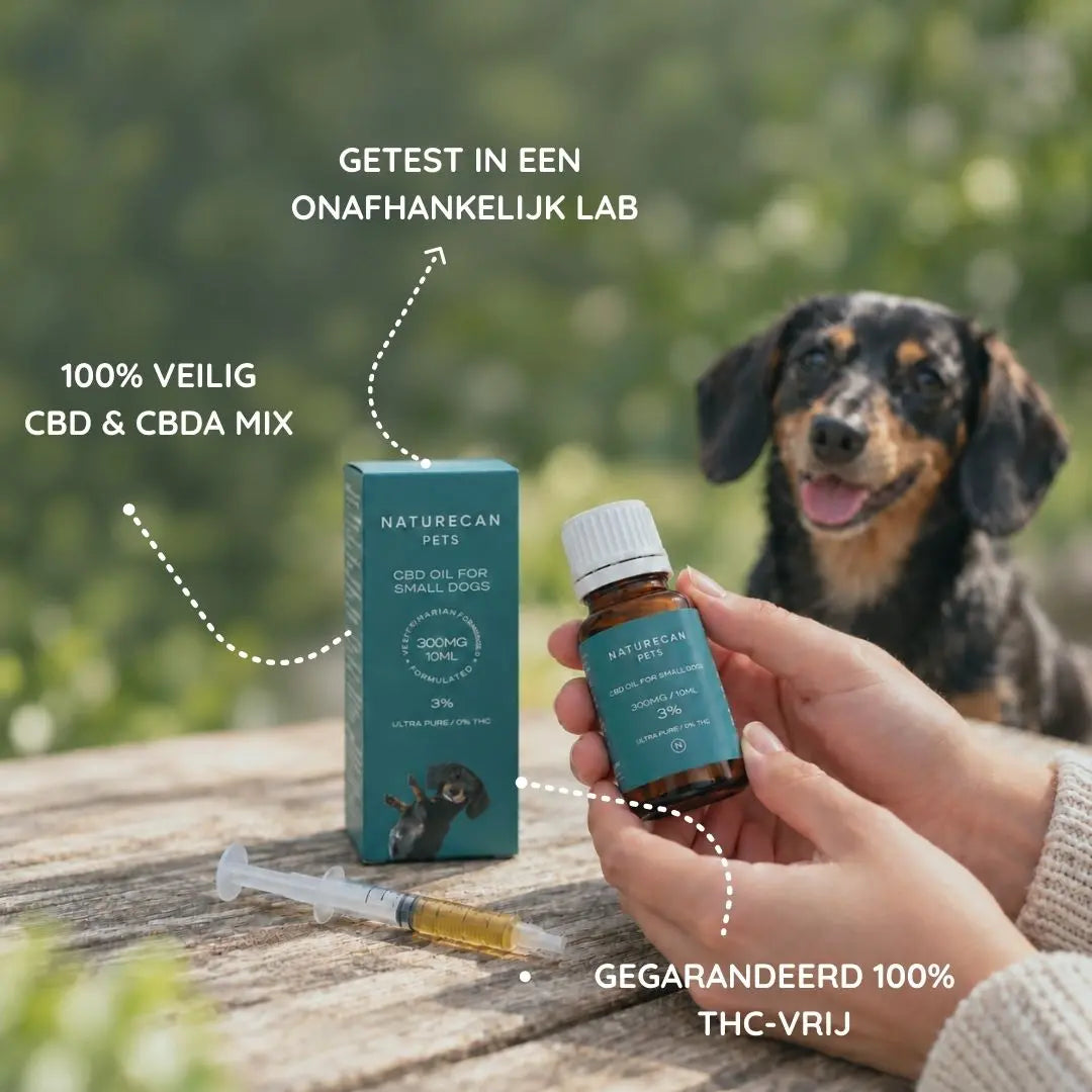 CBD Olie voor Honden