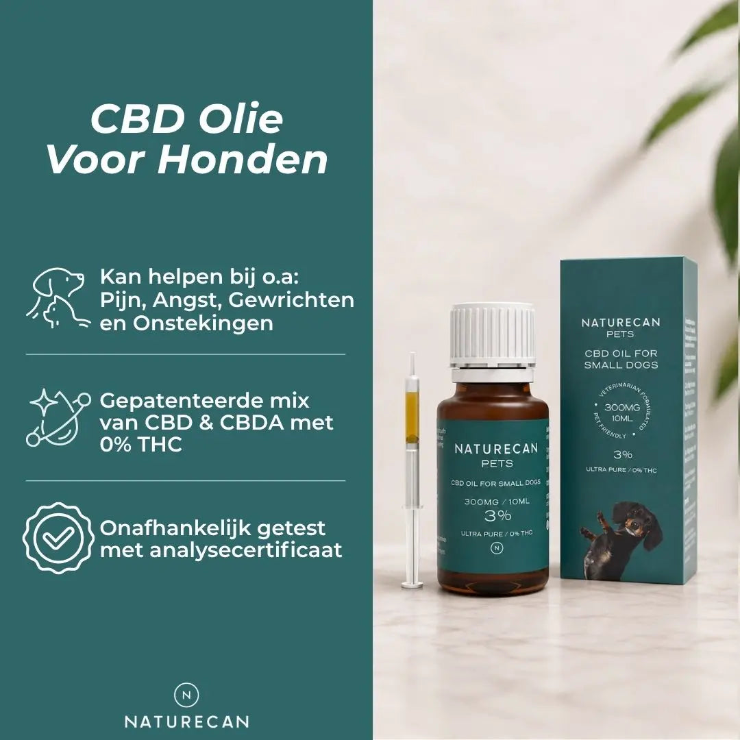 CBD Olie voor Honden