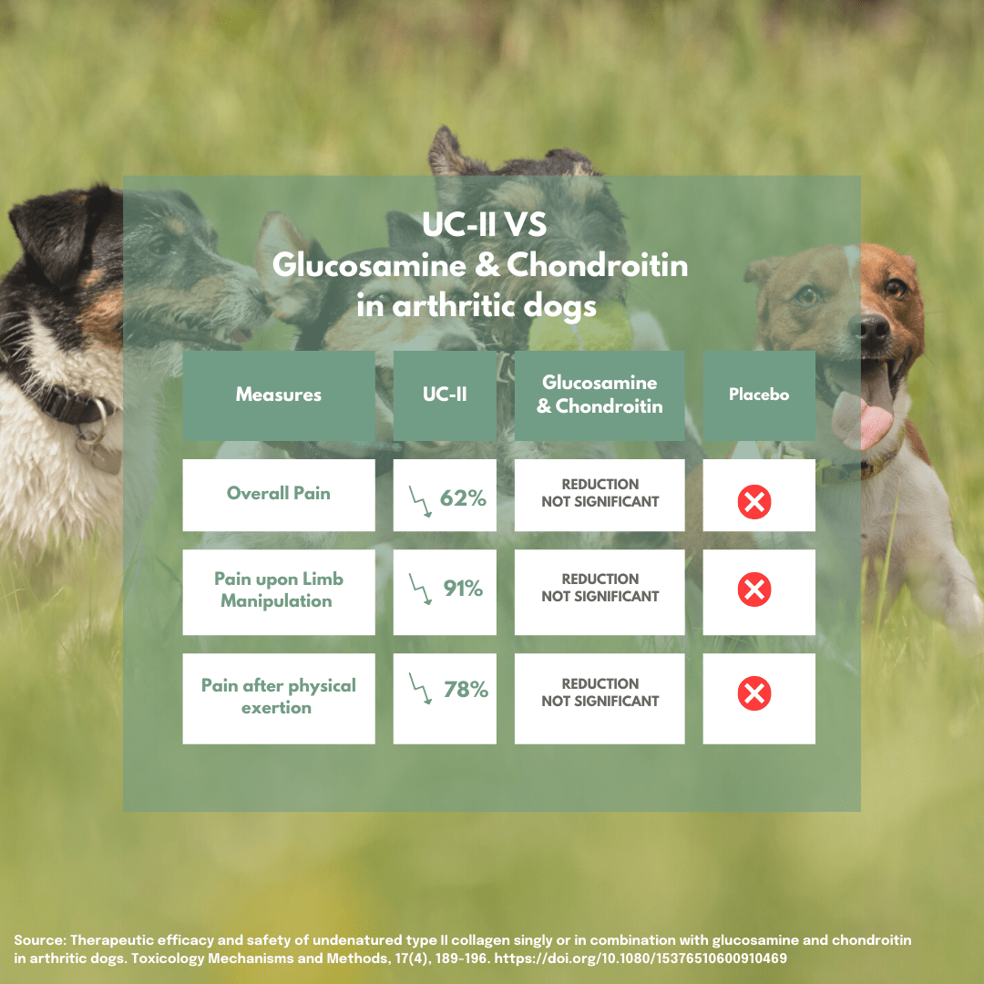 UC-II® Gewrichtssnoepjes voor Honden